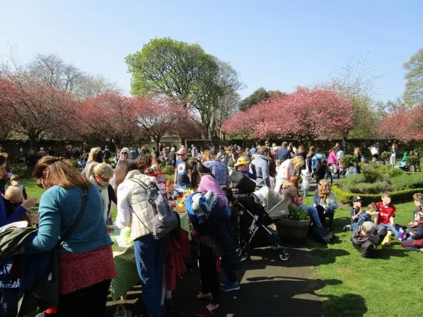 Crowds of visitors gathering on a grassy park beneath flowering trees in spring sunshine.