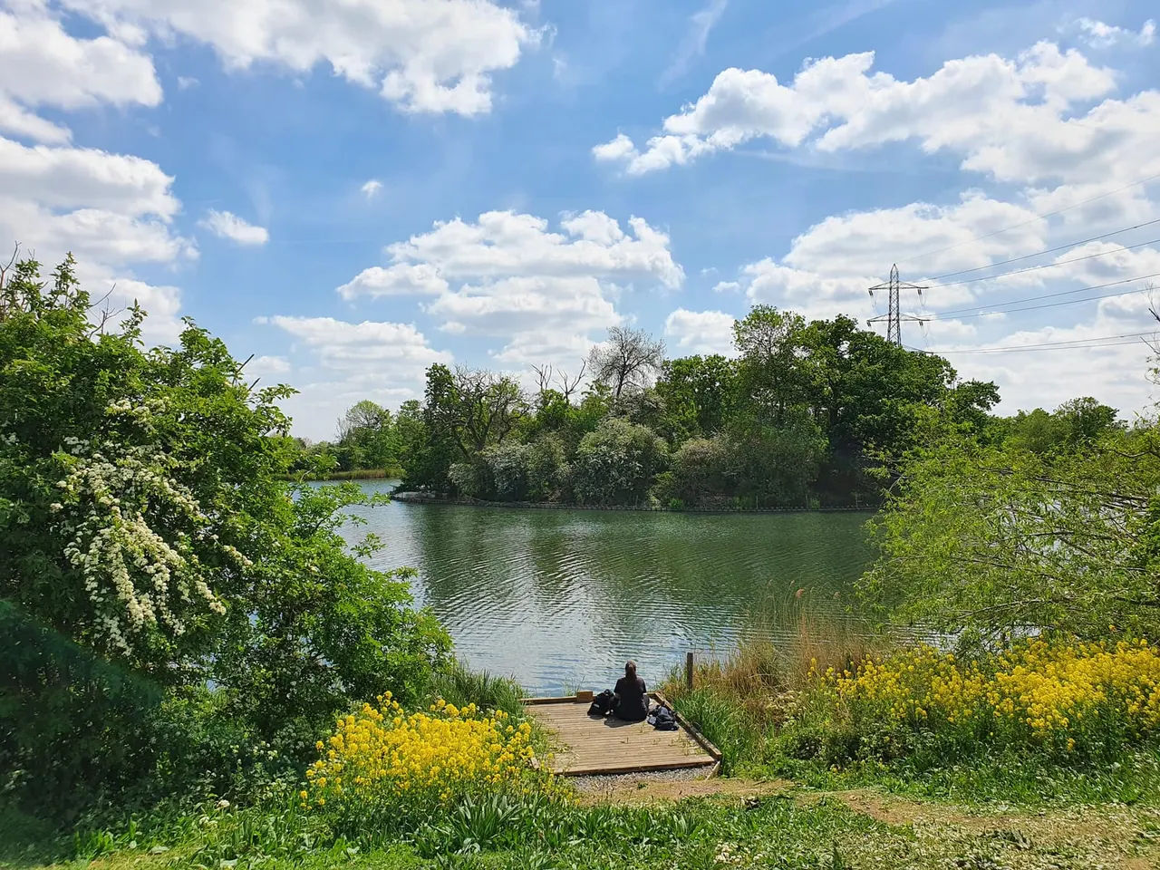 Person sitting on wooden platform at water's edge surrounded by yellow wildflowers and green vegetation, with lake and trees beyond.