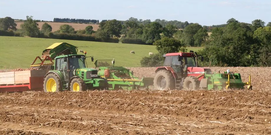 Two tractors ploughing a brown field with sheep grazing on green pasture beyond.