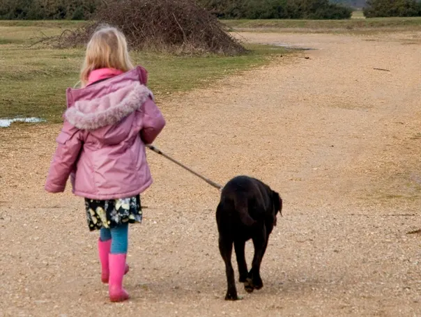 Child in pink coat and bright socks walking a black dog on a lead along a sandy path.