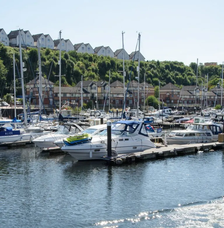 Moored sailboats and motor yachts in a busy marina, with waterfront houses and tree-covered hillside beyond.