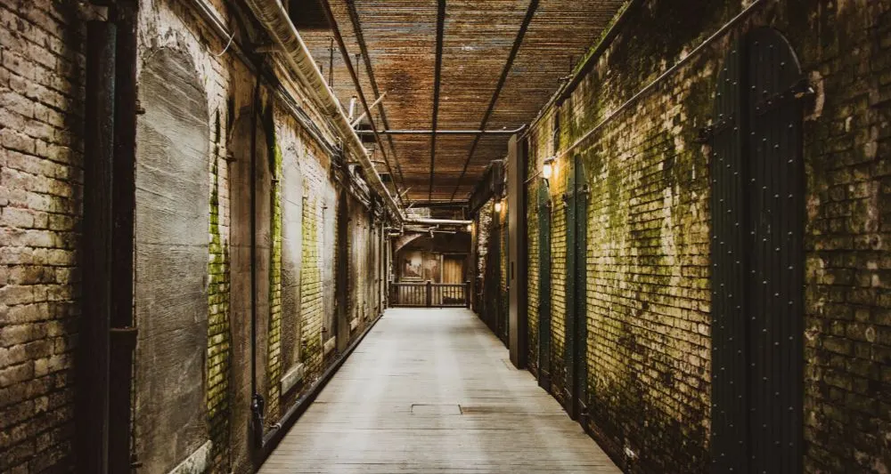 Empty indoor corridor with brick walls covered in moss and atmospheric lighting.