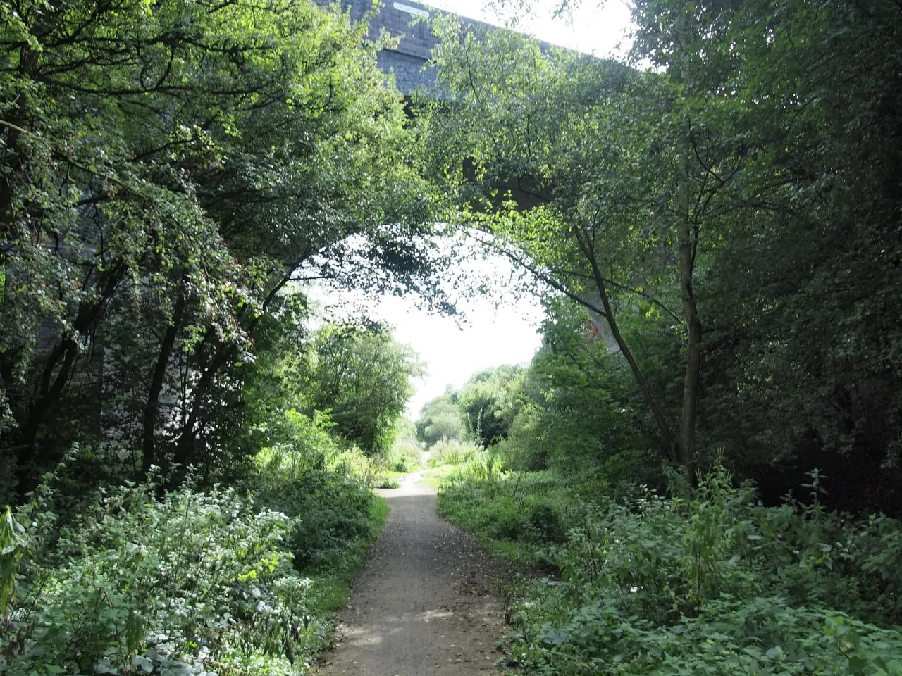 Tree-lined gravel path beneath an ivy-covered railway arch, flanked by wildflowers and lush vegetation.