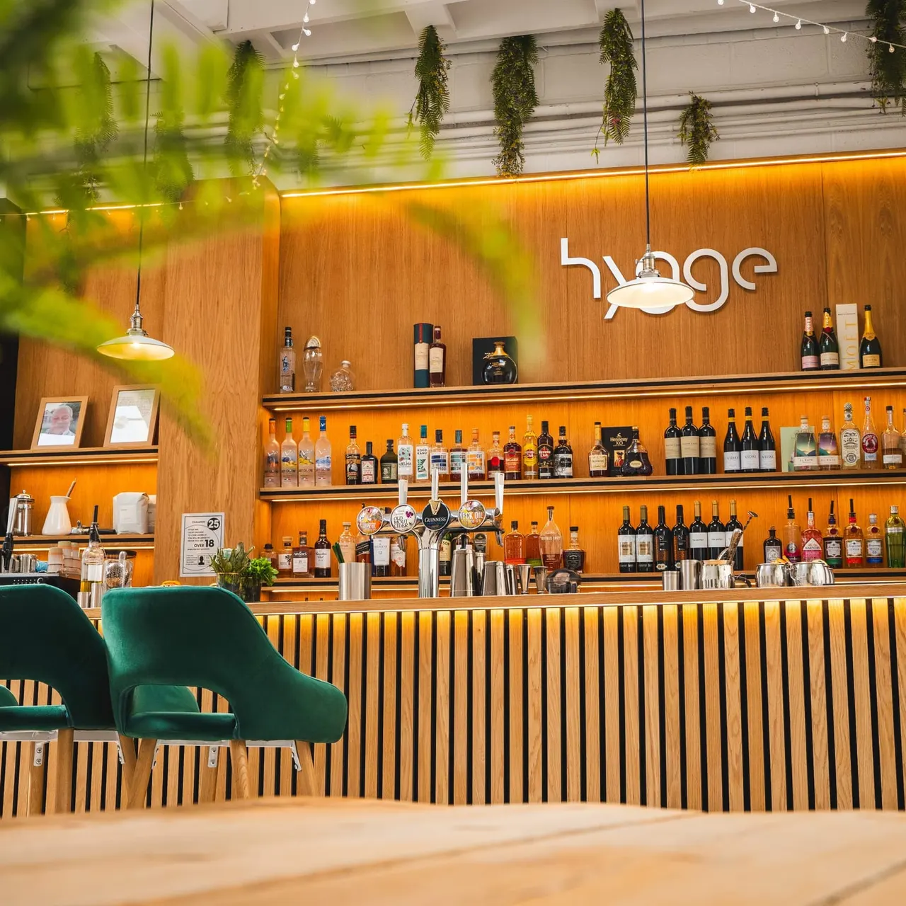 Modern bar interior with wooden panelling, orange shelving displaying spirits bottles, a green velvet chair, hanging plants, and pendant lighting.