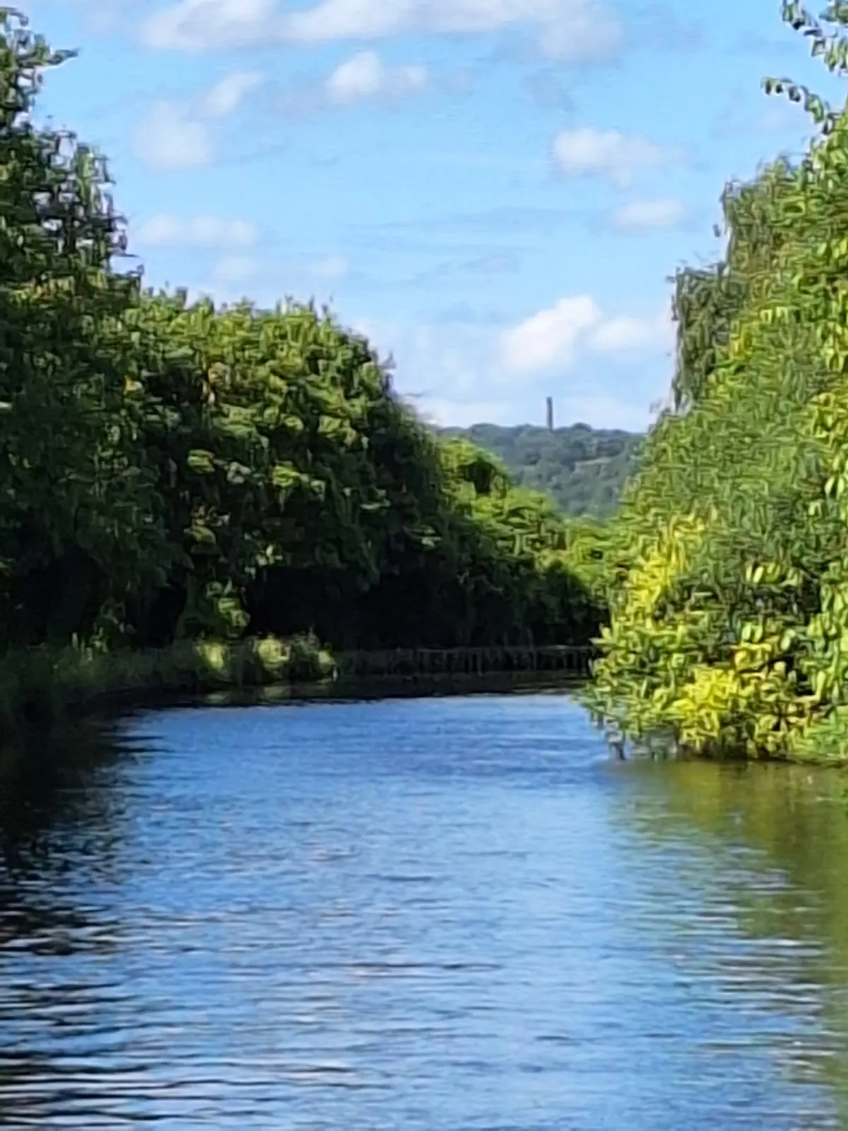 A river flowing between tall green vegetation under a clear sky with distant hills.
