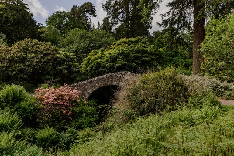 Stone bridge arching over a stream surrounded by lush green foliage and flowering shrubs in a woodland garden.