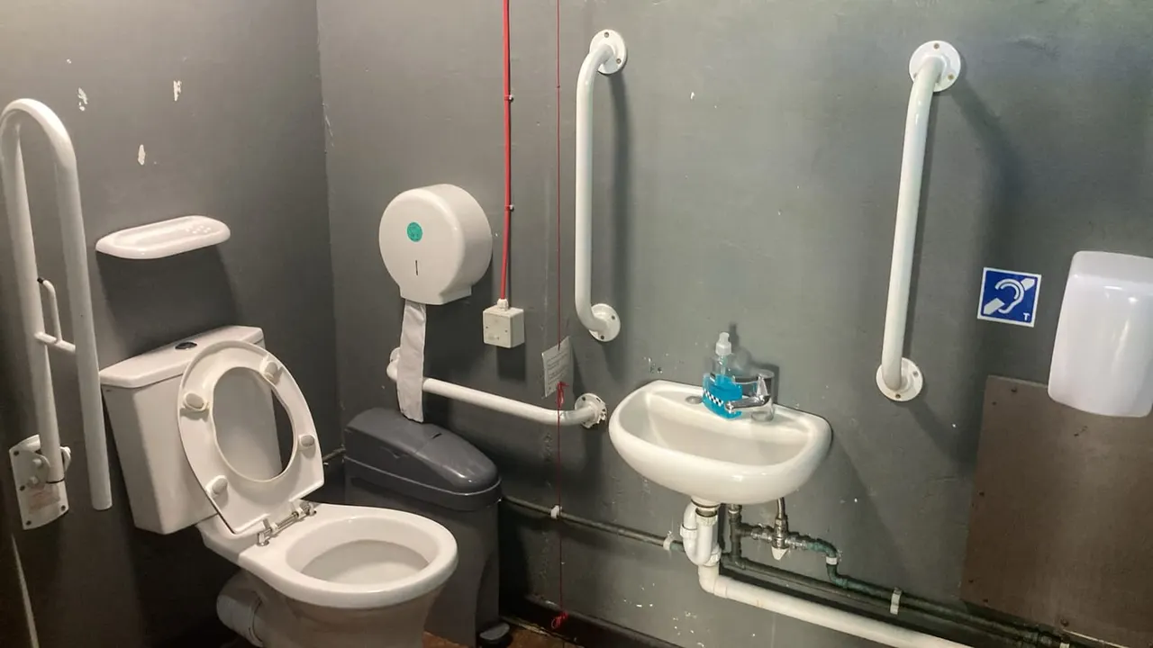 Accessible toilet cubicle with grab rails, lowered sink and hearing loop symbol on wall.
