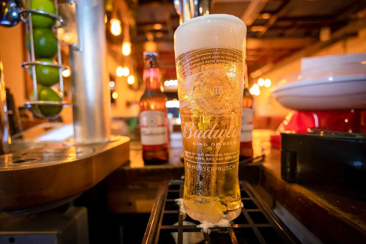 Glass of lager beer with creamy head on a bar counter in a warm-lit venue.