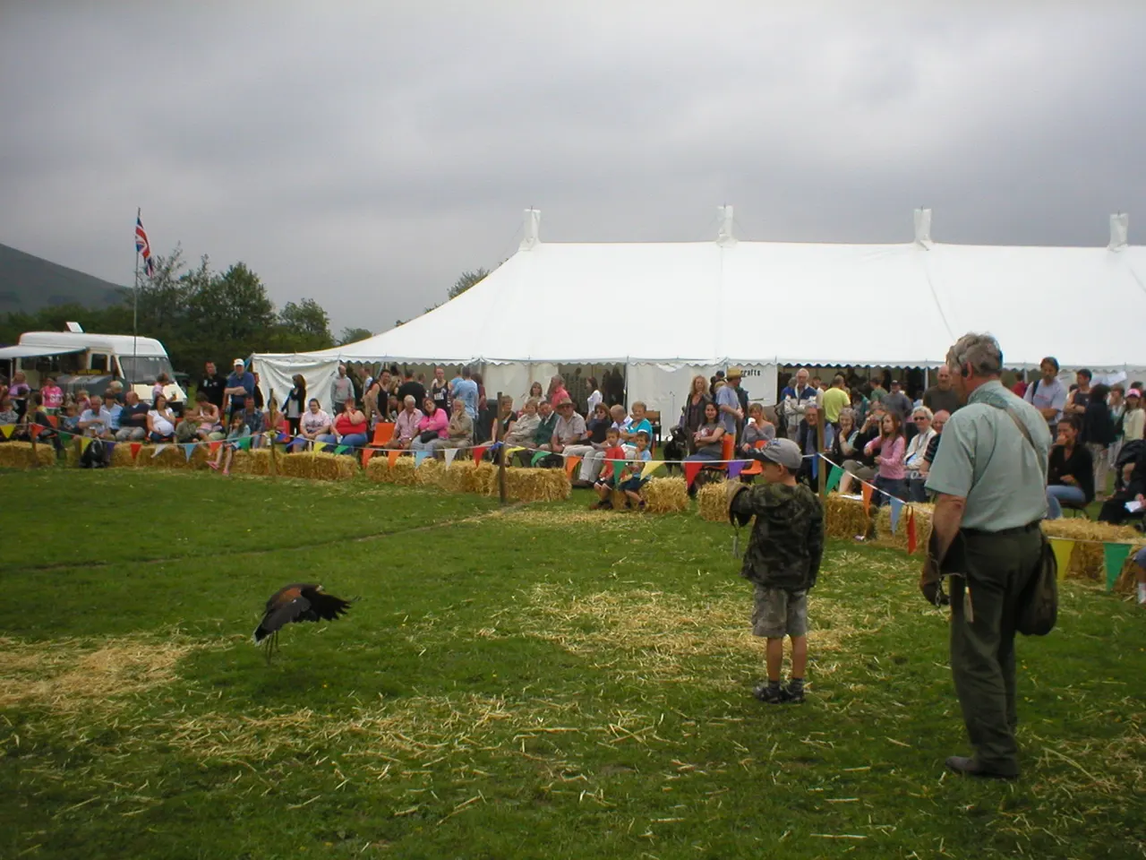 A large bird in flight above a grassy field with crowds gathered under a white marquee at an outdoor event.