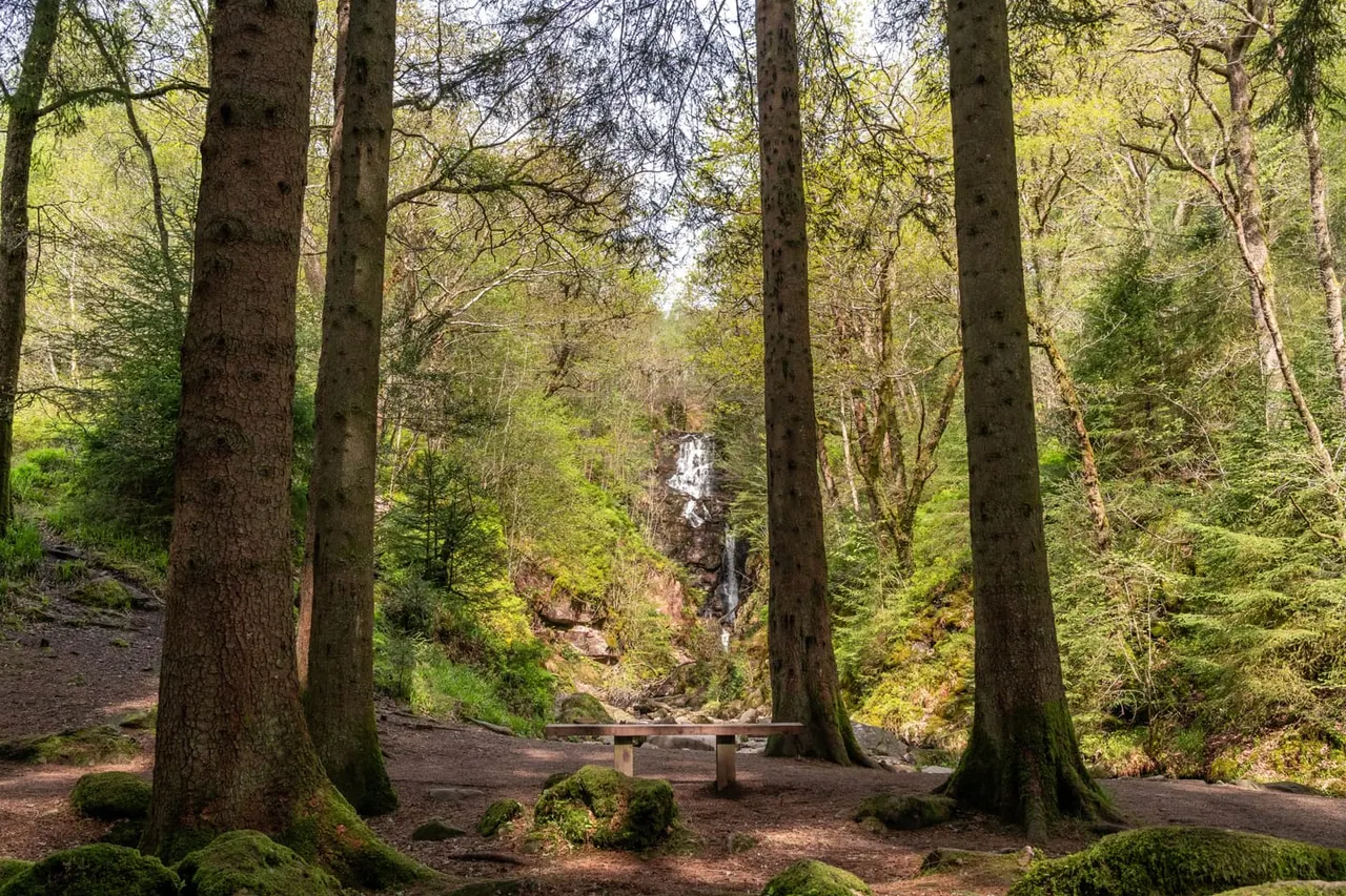 Wooden bench amongst tall trees in a woodland clearing, with a waterfall visible in the distance through the forest.