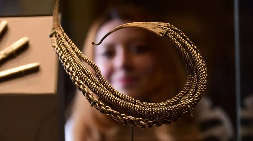 A coiled snake specimen displayed in a glass case with a blurred person viewing it in the background.