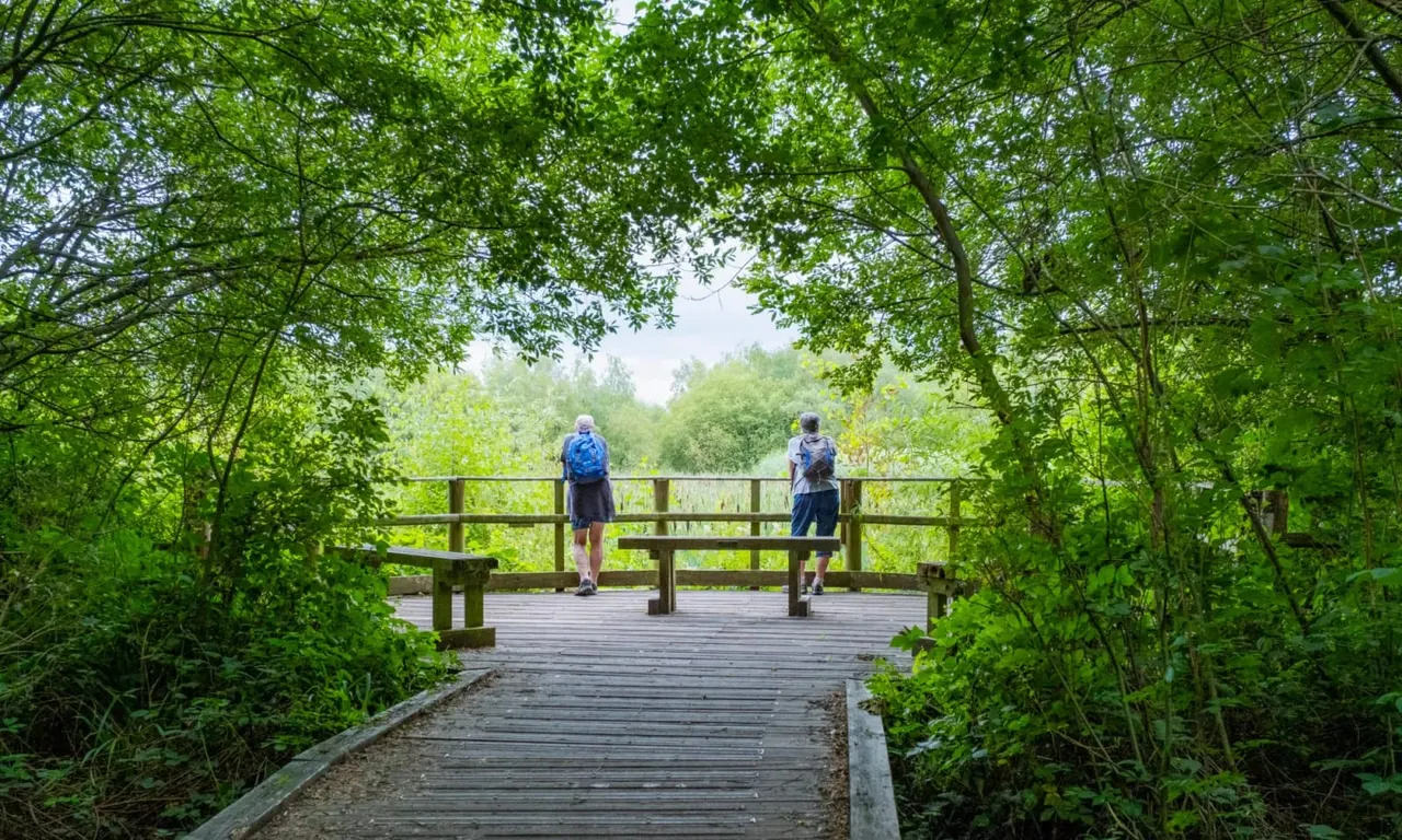 Two people with rucksacks stand on a wooden boardwalk viewing platform surrounded by dense green woodland and water.