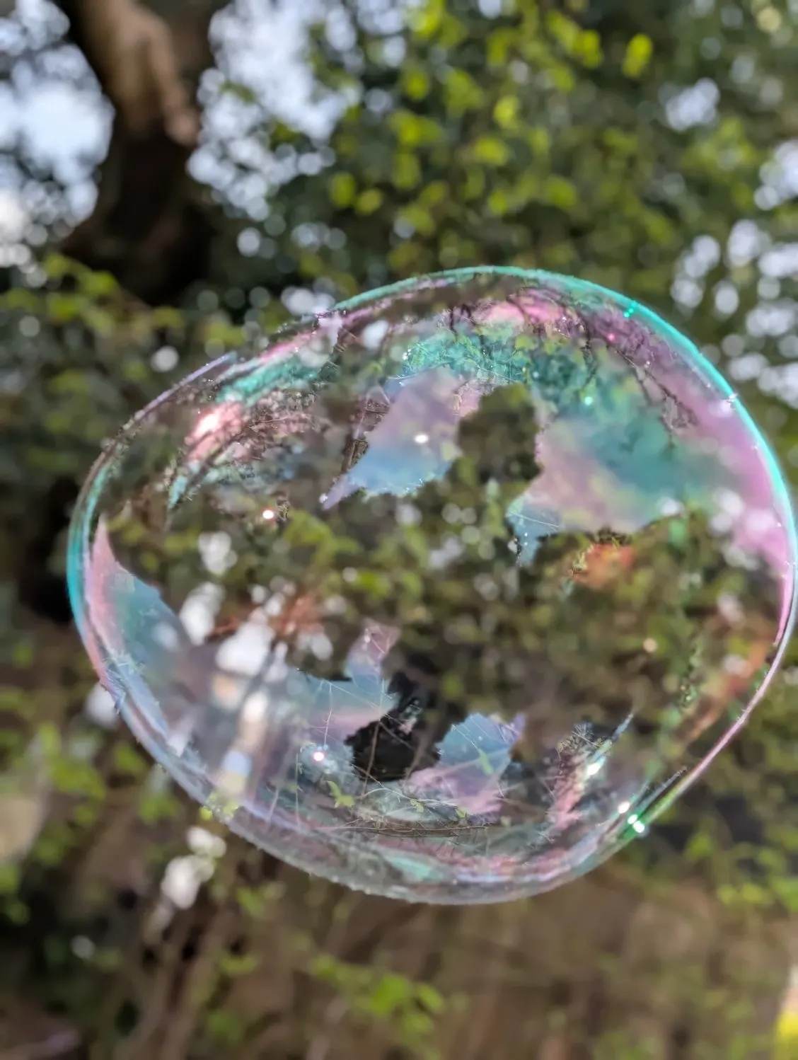 Iridescent soap bubble floating amongst green foliage and white flowers outdoors.