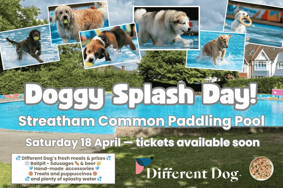 Rookery Paddling Pool (Volunteer Run)