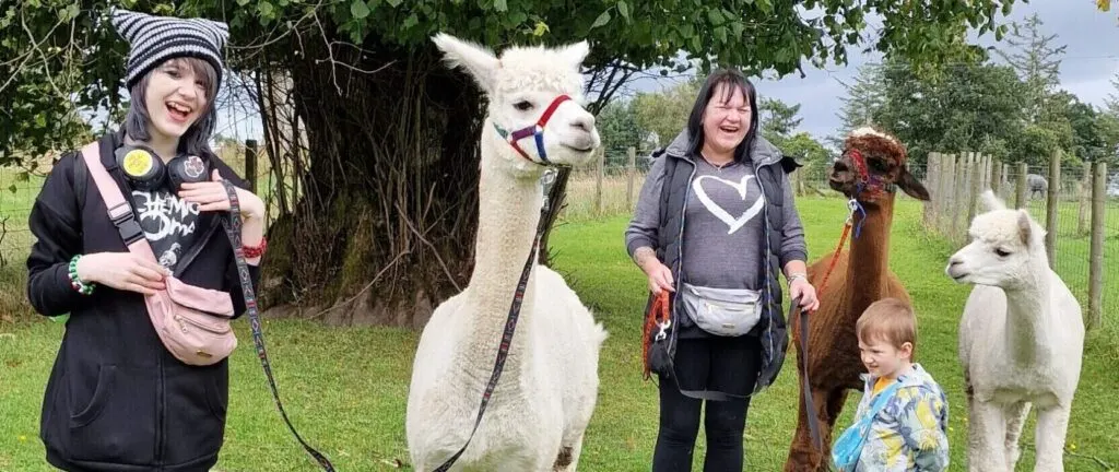 Three visitors with four alpacas in a green pasture beside trees.
