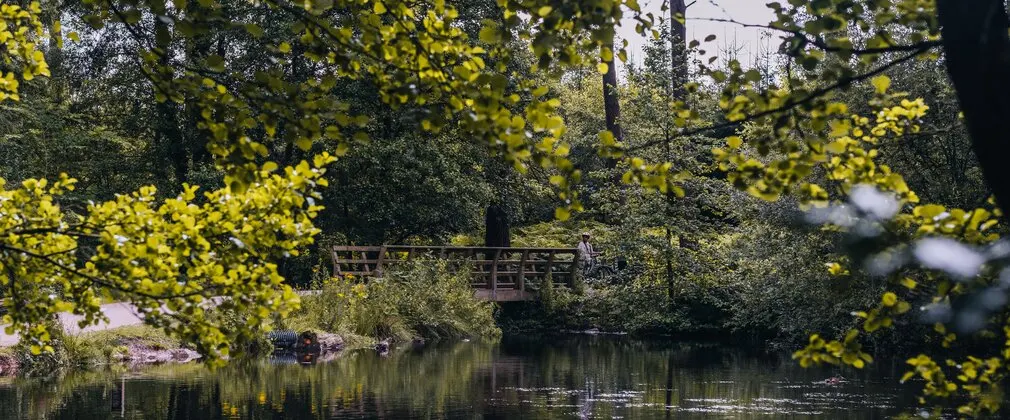 Woodland & Forest in Birmingham