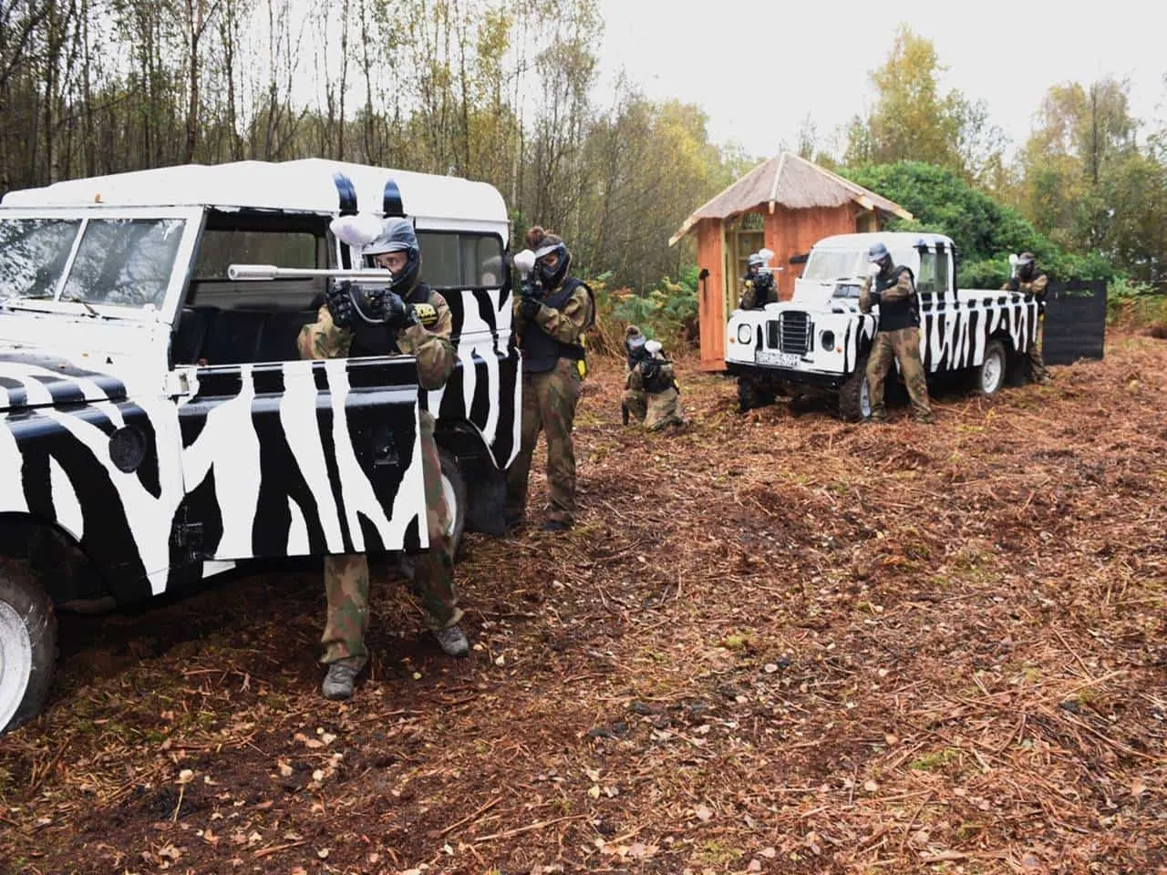 Players in paintball gear exiting zebra-striped vehicles at a woodland paintball venue with a thatched hut.