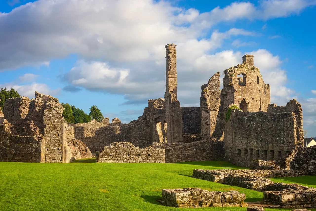 Ruins of a medieval stone castle with towers and walls set in a grassy field under a blue cloudy sky.
