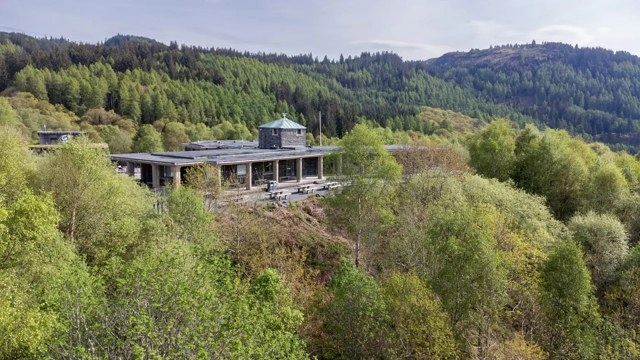 Modern lodge building with outdoor seating nestled among forested hills with coniferous and deciduous trees.