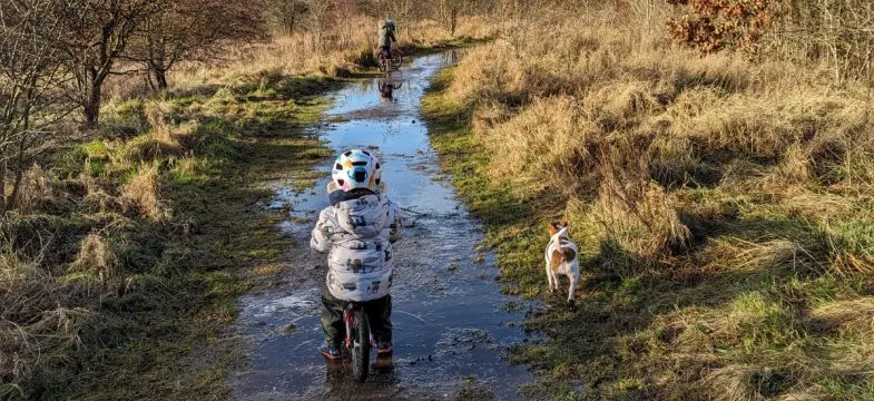 Child on a mountain bike riding through a shallow stream with a dog alongside in a woodland setting.