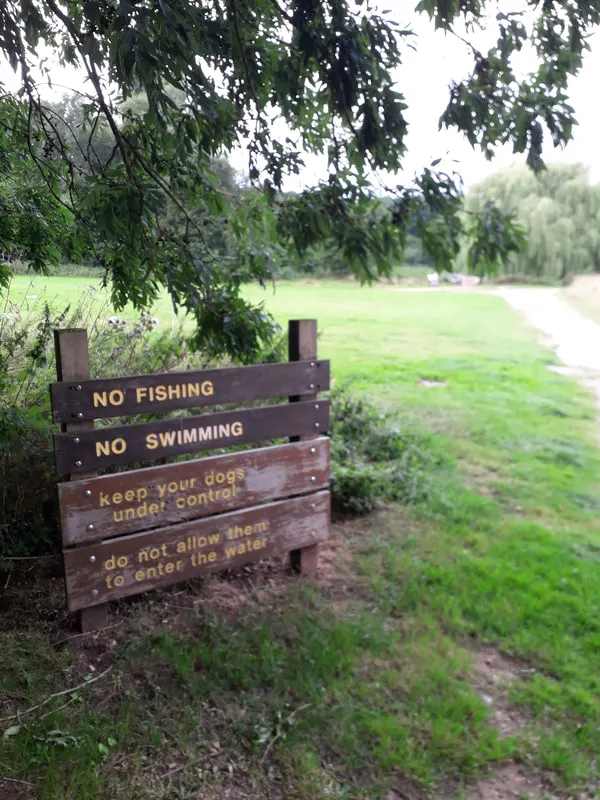 Wooden rule signs by a tree beside a grassy park and lake with restrictions on fishing, swimming, and dogs.