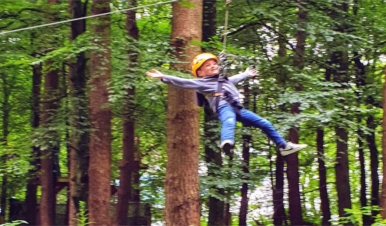 Child zip-lining through a forested canopy on an aerial adventure course.