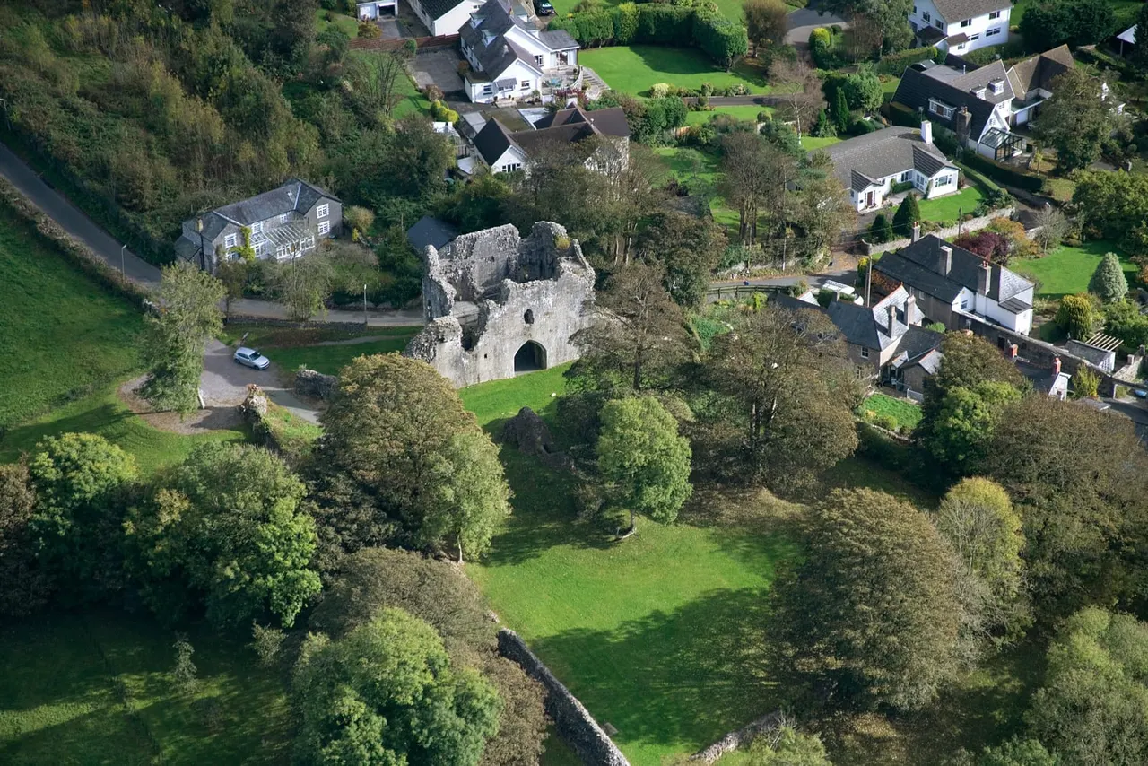 Aerial view of ruined stone castle surrounded by trees and green fields, with residential houses nearby.