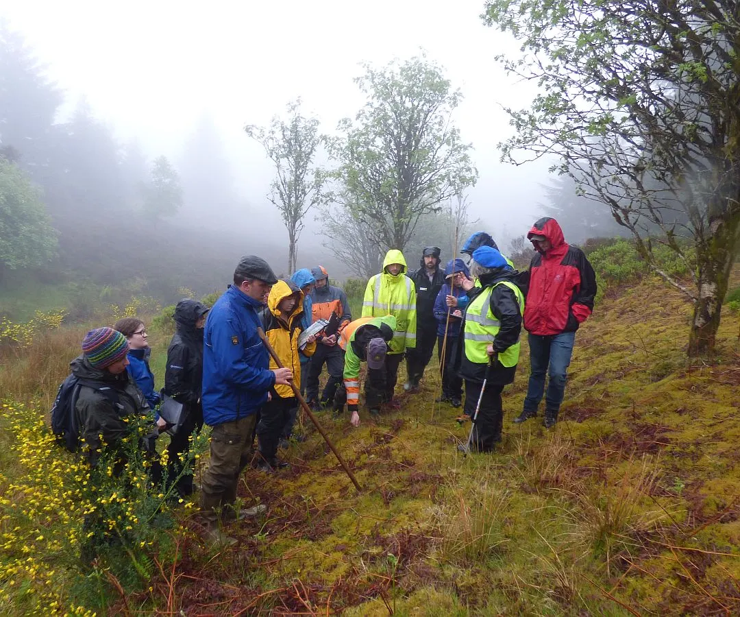Group of hikers gathered on a misty woodland trail amongst sparse trees and mossy ground.