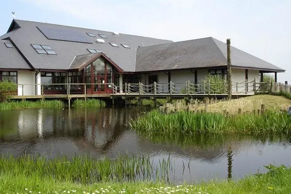 Modern pavilion building with thatched roof beside a reed-fringed pond in a nature reserve.