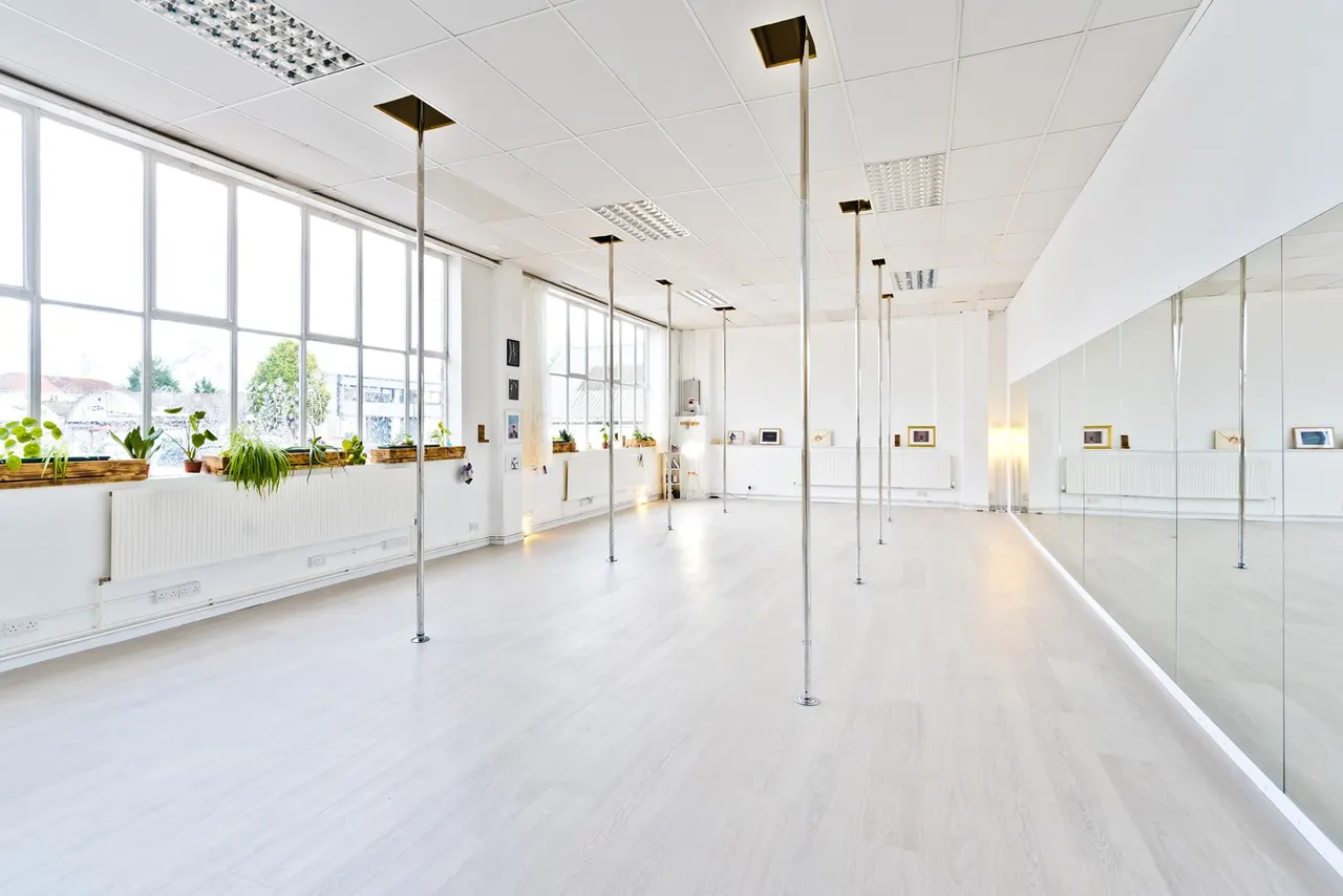 Bright, spacious studio with wooden flooring, floor-to-ceiling mirrors, vertical poles, and large windows overlooking a street with potted plants on the sill.