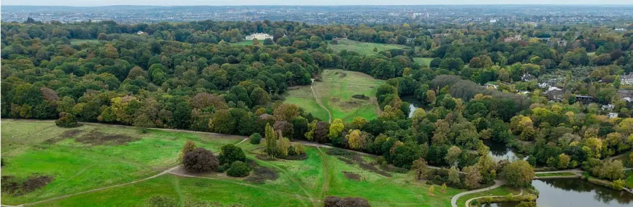 Aerial view of sprawling parkland with green fields, scattered trees, a winding river, and distant urban skyline.