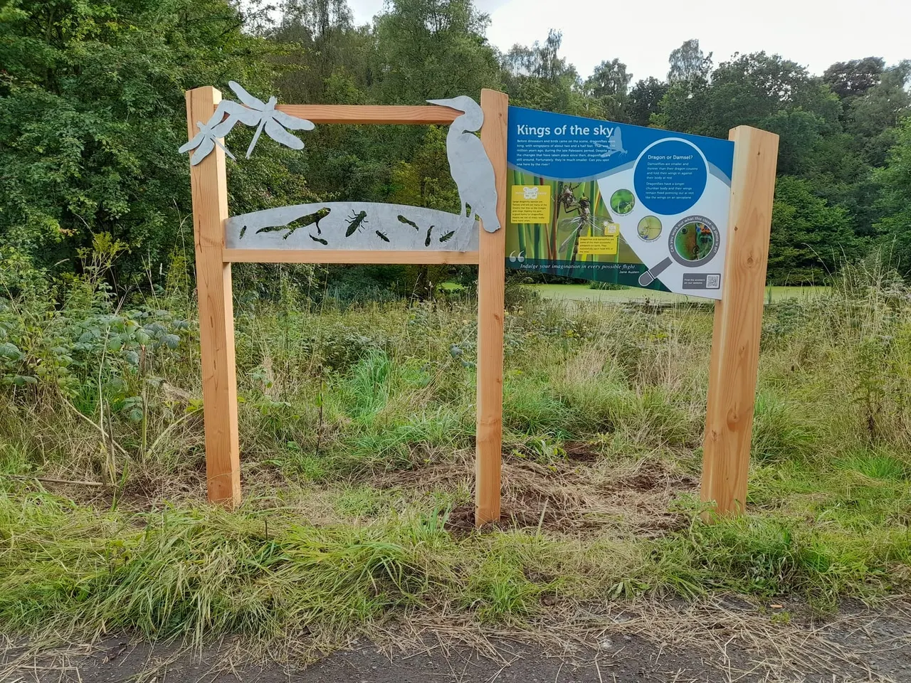 Wooden interpretive sign about dragonflies and damselflies in a natural meadow setting with trees in the background.