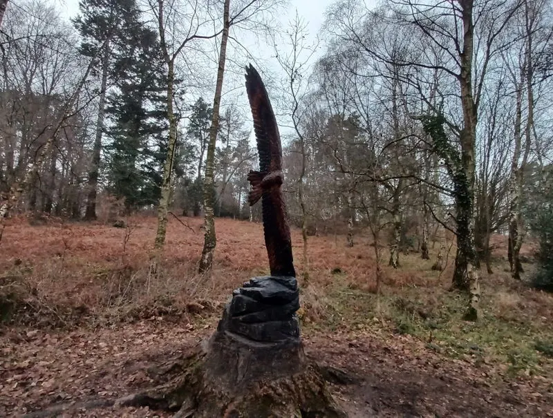 Wooden sculpture of a large bird in flight stands on a tree stump in a forest clearing covered with fallen leaves.