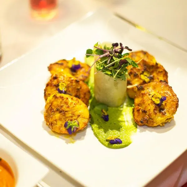 Seared scallops with cauliflower purée and microgreens on a white plate.
