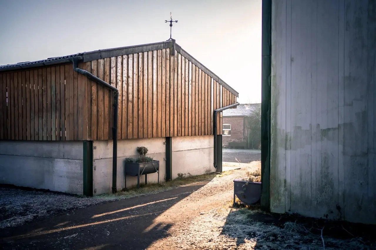 Modern corrugated metal barn with weather vane, surrounded by gravel and metal structures on a farm.