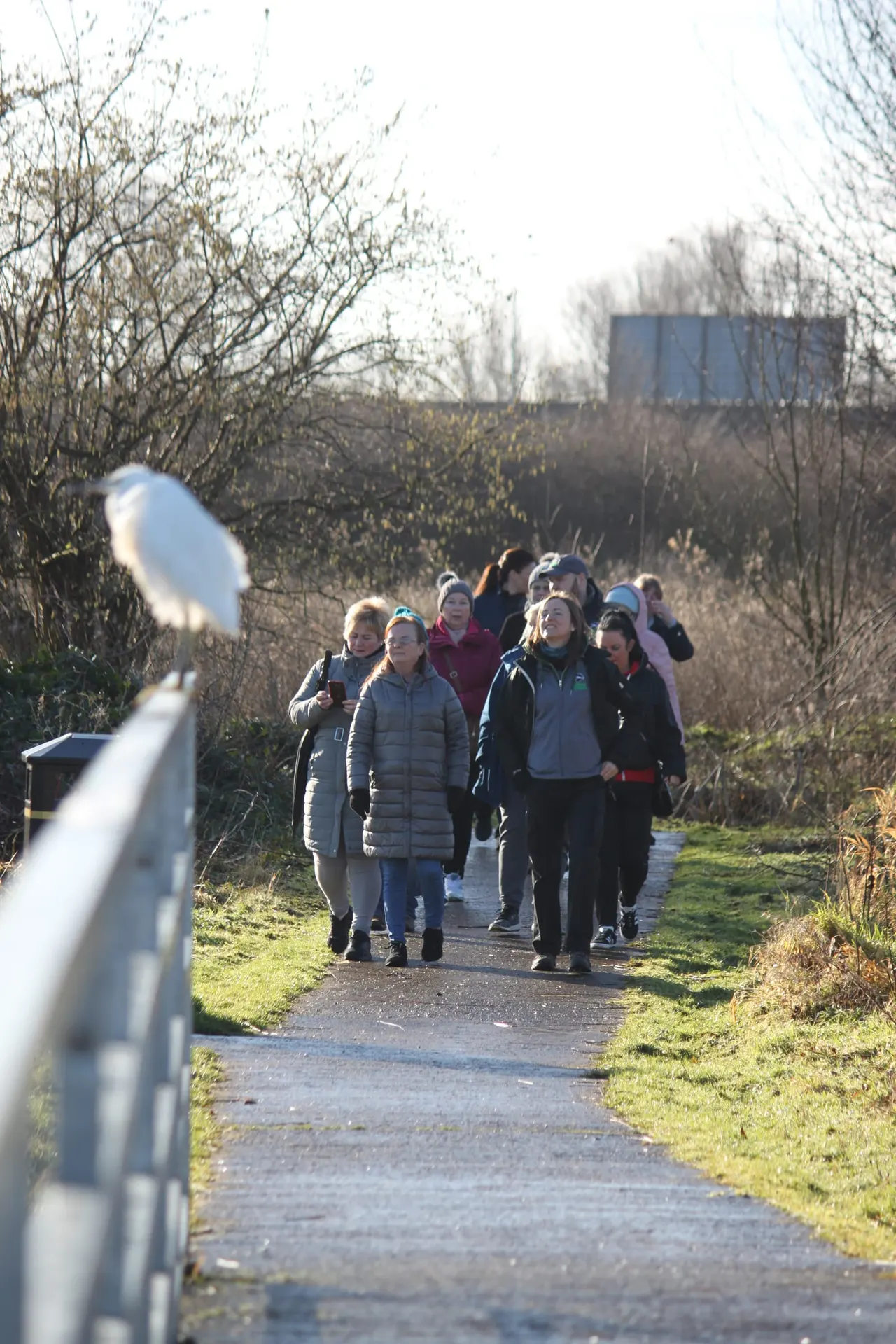 Group of visitors walking along a pathway through bare winter vegetation at a nature reserve.