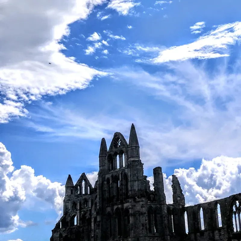Ruined Gothic abbey with pointed arches against a bright blue sky with white clouds.