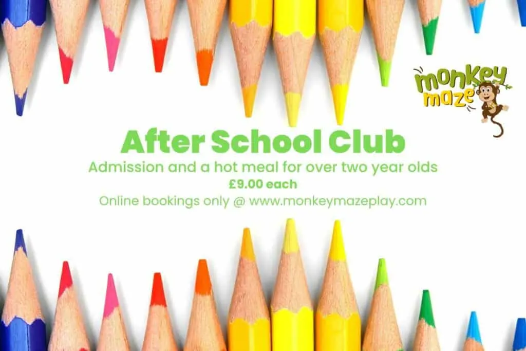 Monkey Maze Play Garforth