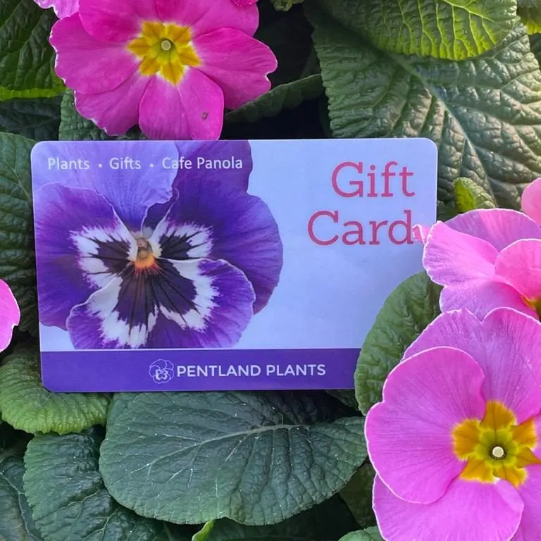 Pentland Plants