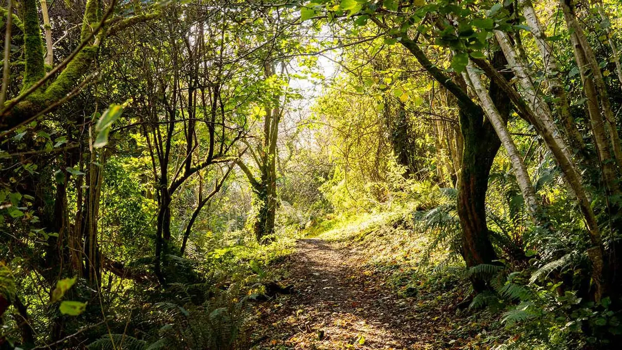 Country Parks & Nature Reserves in Belfast