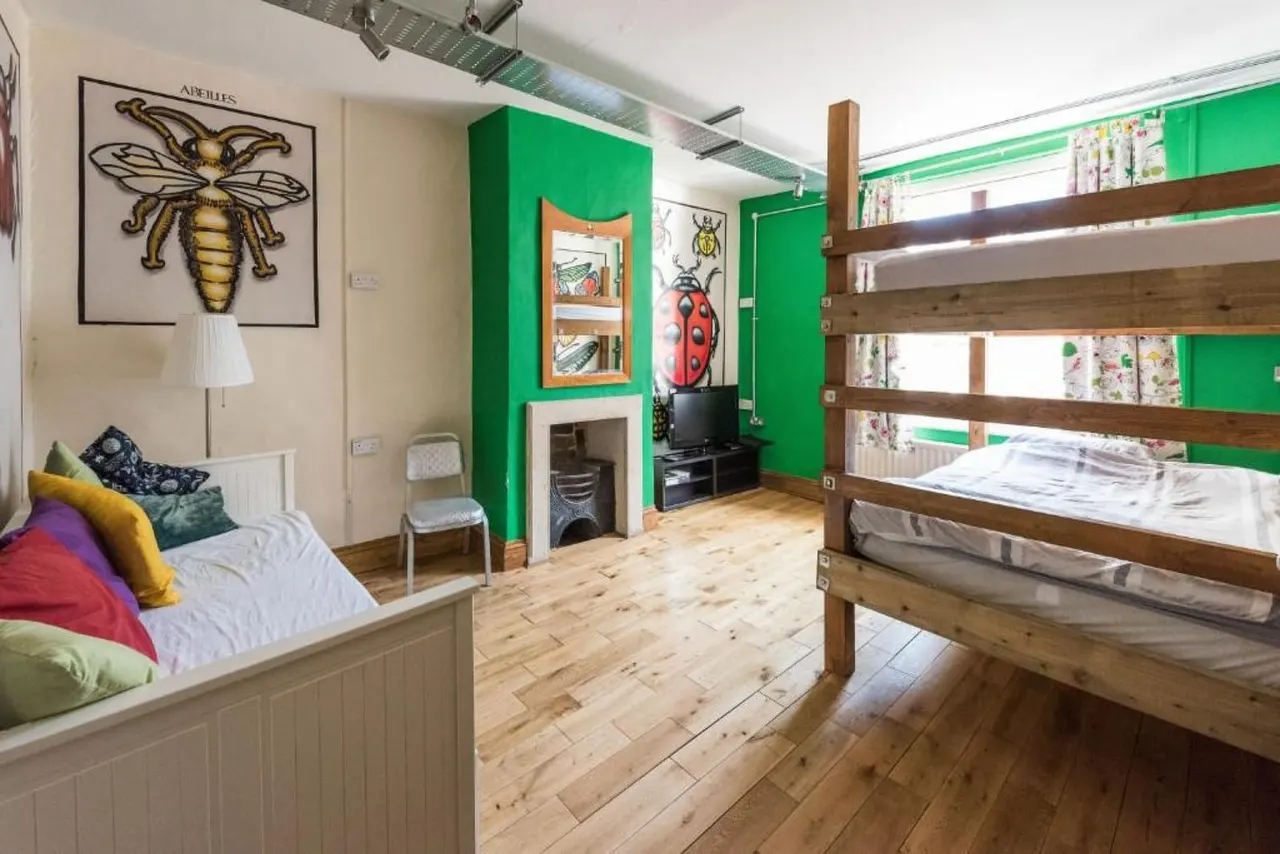 A bright hostel dormitory with wooden bunk beds, colourful pillows, insect-themed wall art, and a green accent wall with a fireplace.