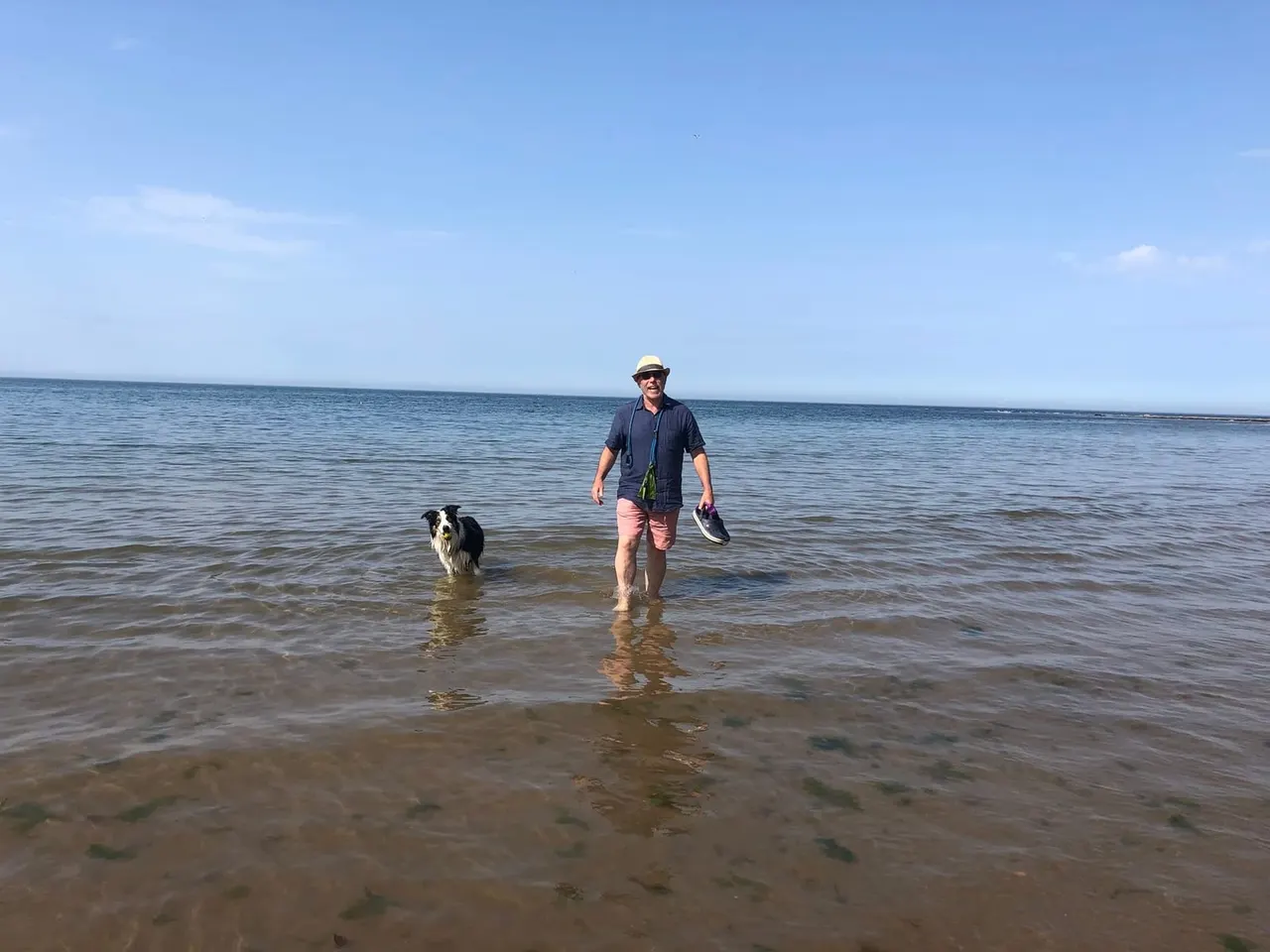 Man wading in the sea with a dog on a calm beach under blue sky.