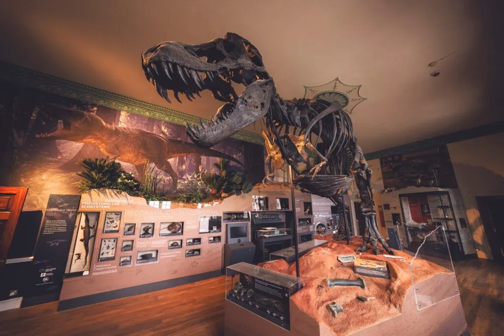 tp18780 discovering dinosaurs mid 1024x683